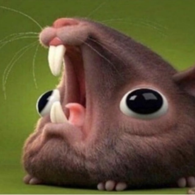 Mouse
